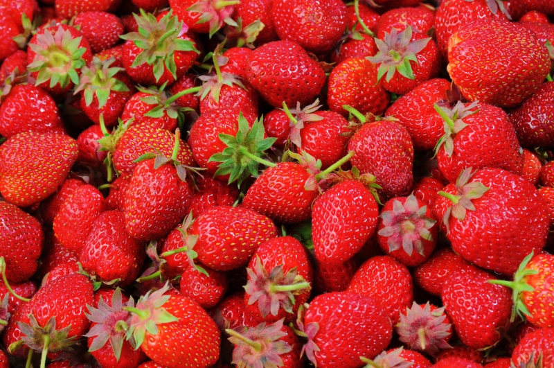 primeur-CUERS-min_strawberries-528791